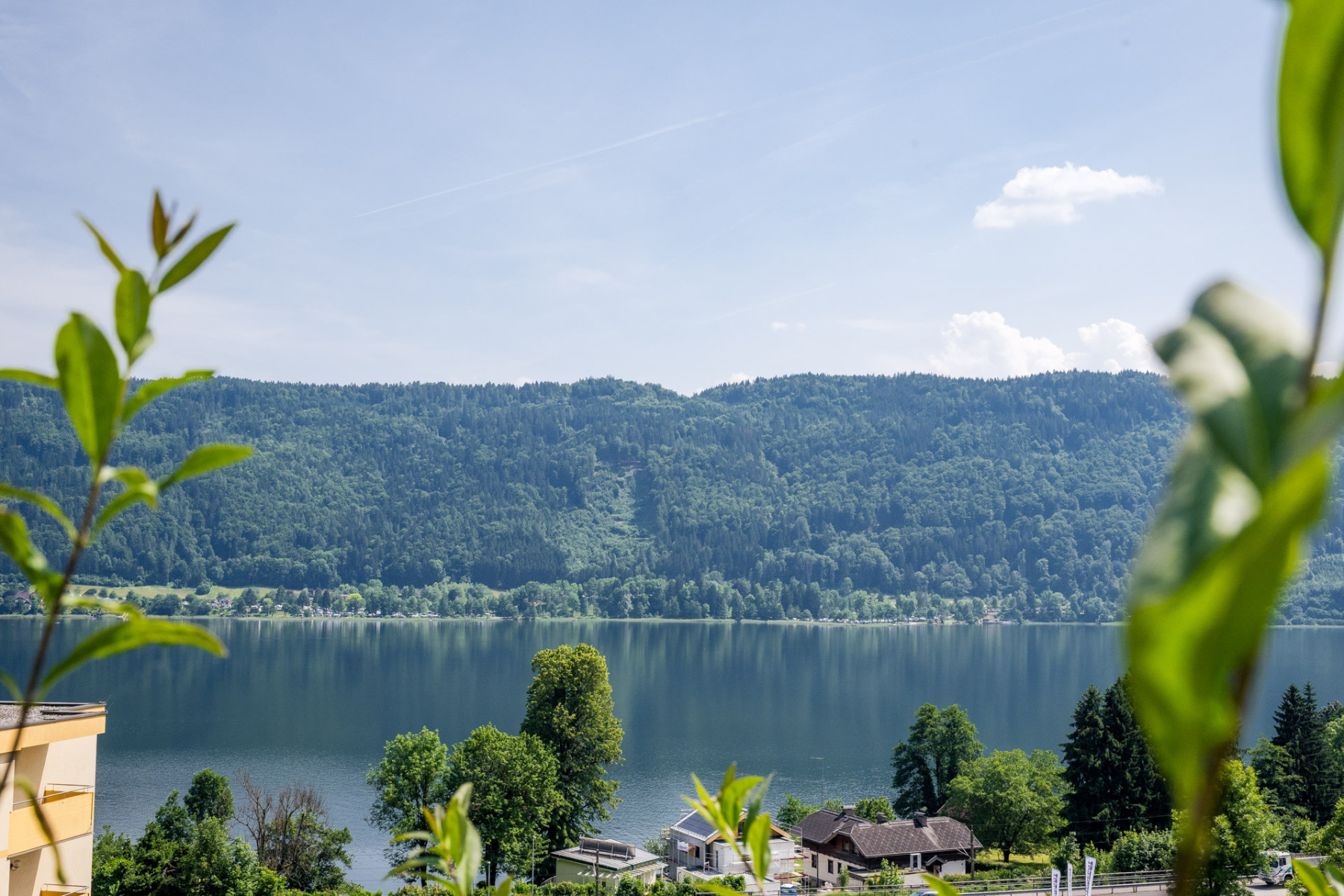 stabentheiner_fhd-214