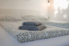11-DSC00679