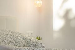 2-DSC00680