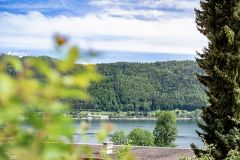 7-IMG_9294