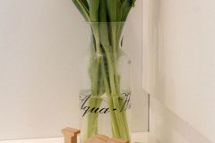 31-IMG_9054