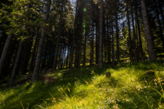 MS-Photo-4574