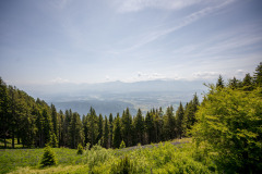 stabentheiner_fhd-109