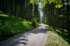 stabentheiner_fhd-150