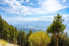 18-IMG_9097