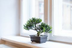 1_mooki_rumbach_10_apartment_31